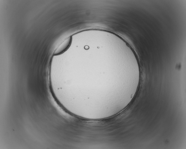 X0000114571391200911161236