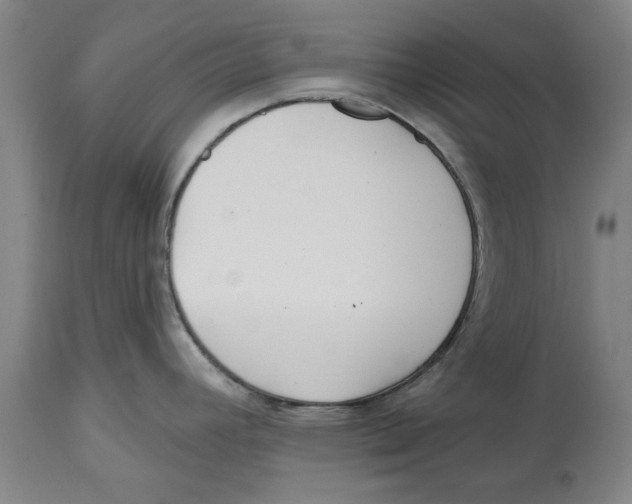 X0000114571392200911161236