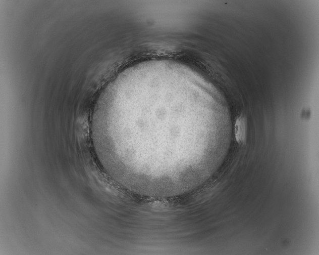 X0000114571395200911161236