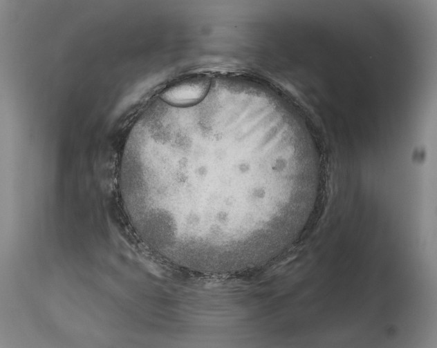 X0000114571399200911161236