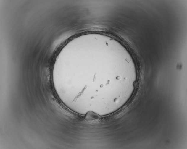 X0000114571402200911161236