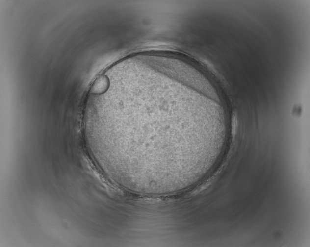 X0000114571405200911161236