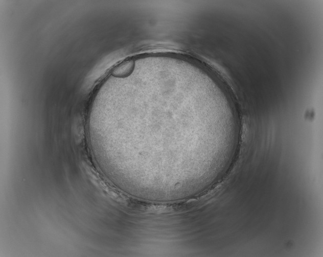 X0000114571407200911161236