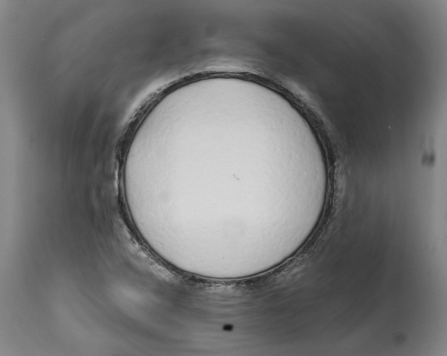 X0000114571408200911161236