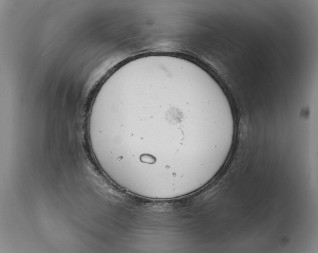 X0000114571410200911161236