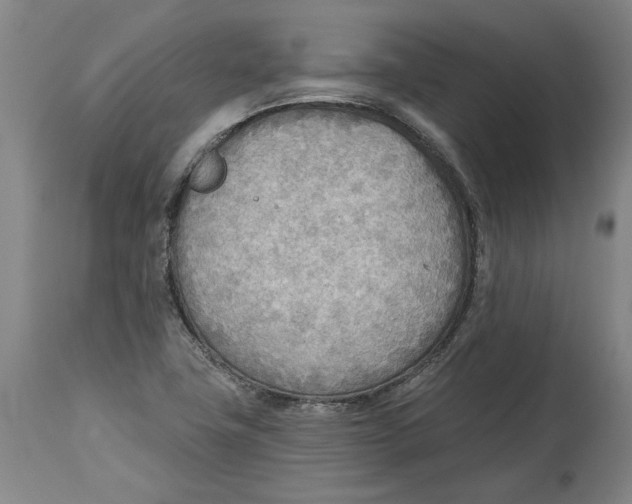 X0000114571411200911161236