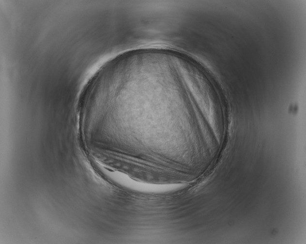 X0000114571414200911161236