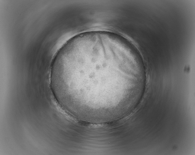 X0000114571415200911161236