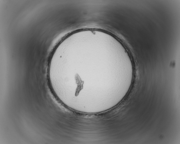 X0000114571416200911161236