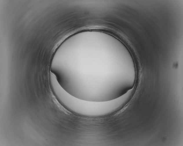 X0000114571417200911161236