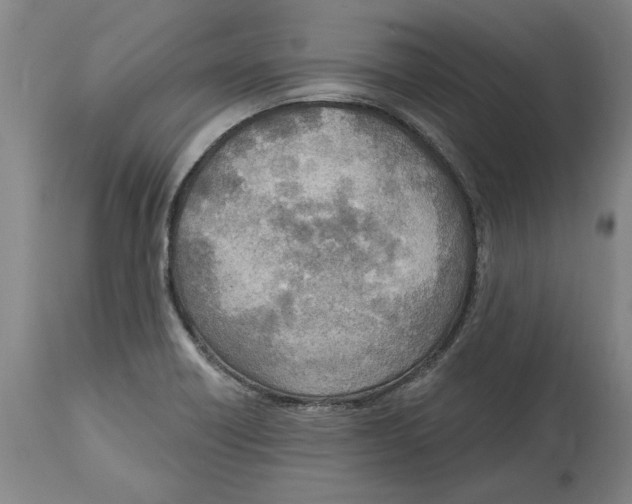 X0000114571418200911161236