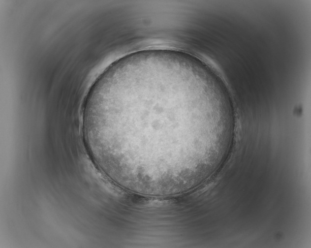 X0000114571419200911161236