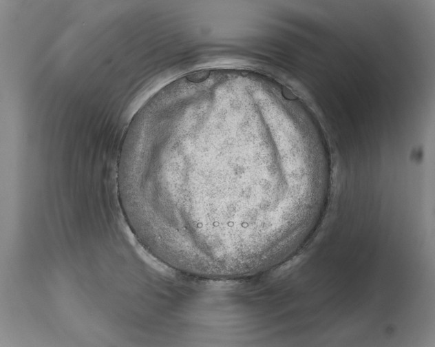 X0000114571425200911161236