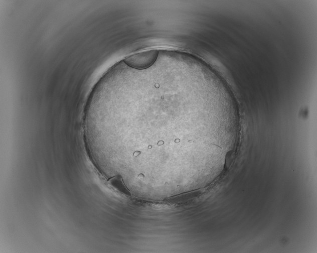 X0000114571427200911161236