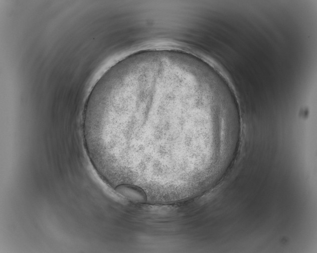 X0000114571429200911161236