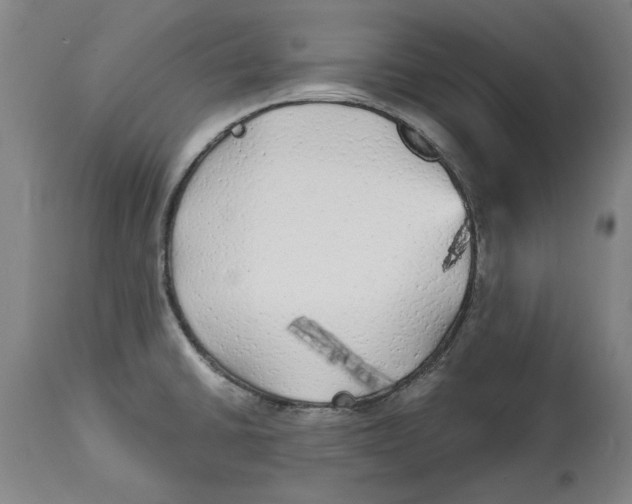 X0000114571430200911161236