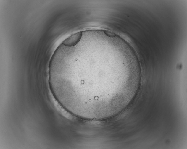 X0000114571431200911161236