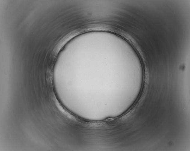 X0000114571433200911161236