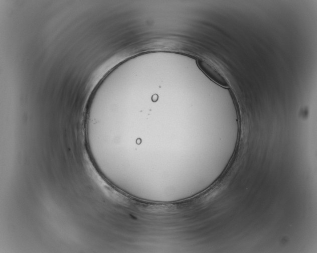 X0000114571434200911161236