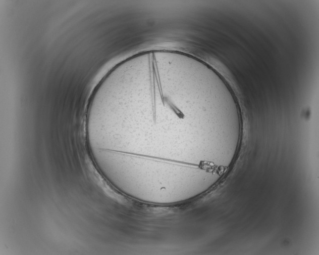 X0000114571436200911161236