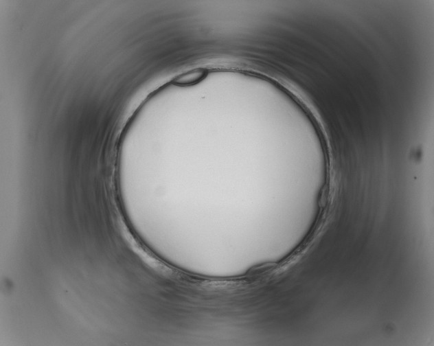 X0000114571437200911161236