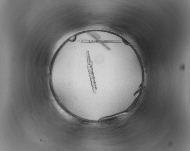 X0000114571438200911161236