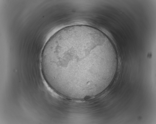 X0000114571439200911161236