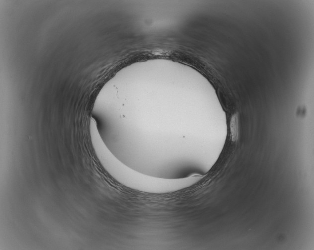 X0000114571443200911161236