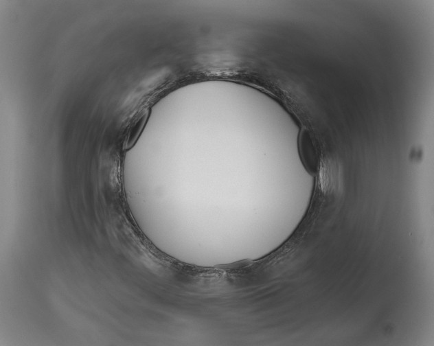 X0000114571444200911161236