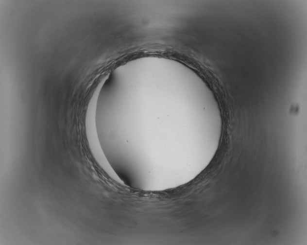 X0000114571445200911161236