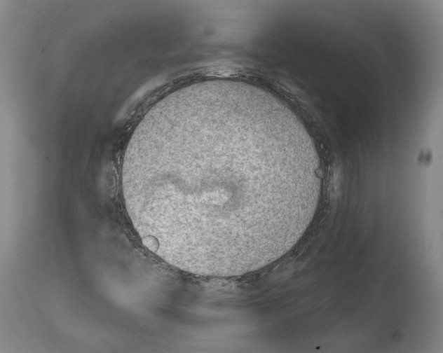 X0000114571446200911161236