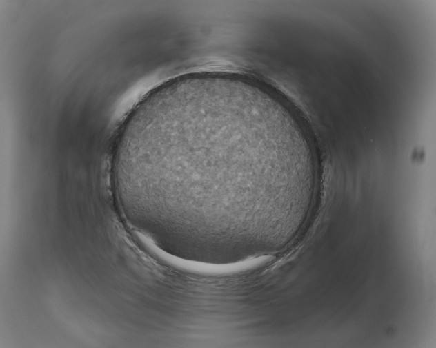 X0000114571455200911161235