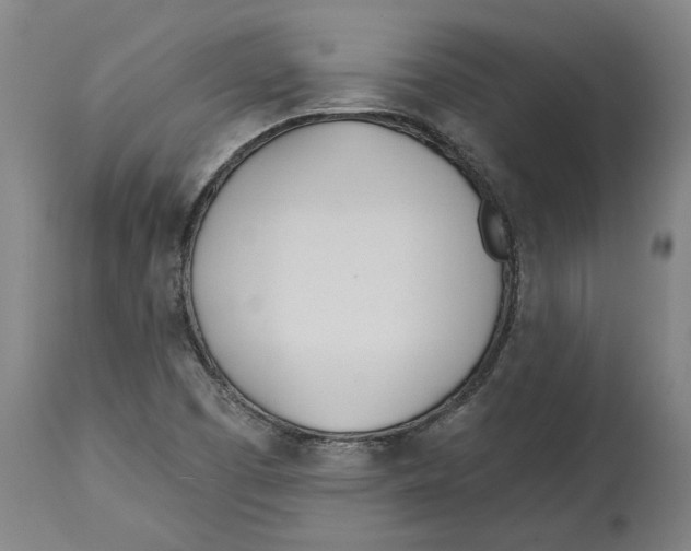 X0000114571457200911161235