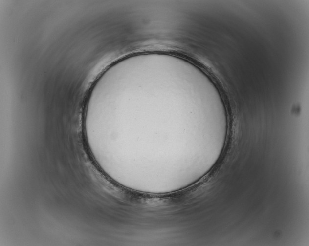 X0000114571459200911161235