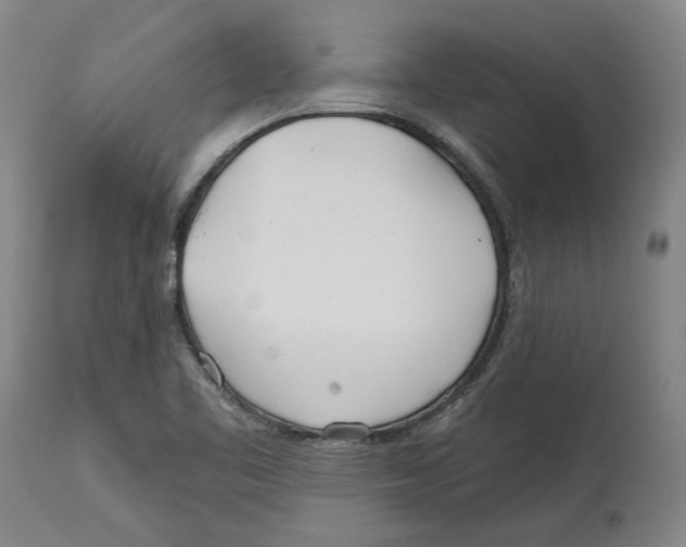 X0000114571461200911161235