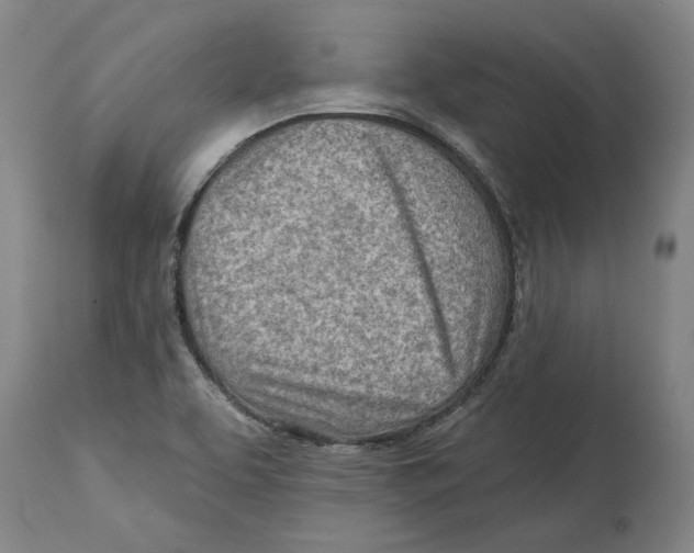 X0000114571463200911161235