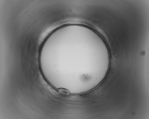 X0000114571464200911161235