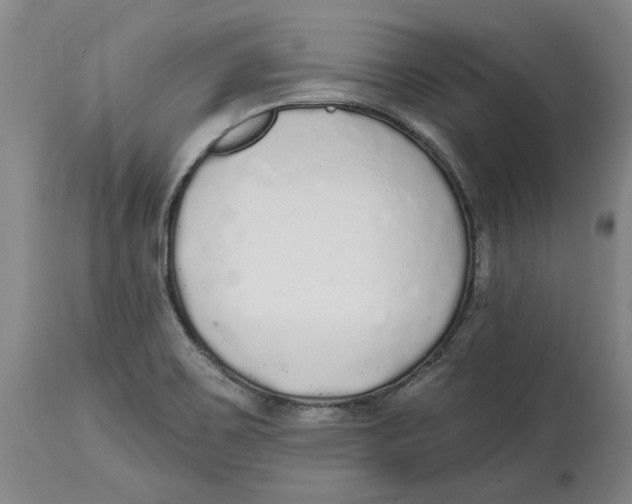 X0000114571467200911161235