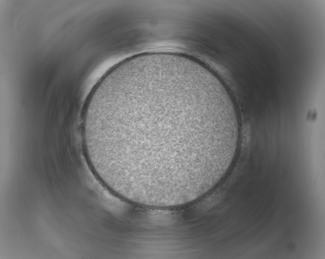 X0000114571470200911161235