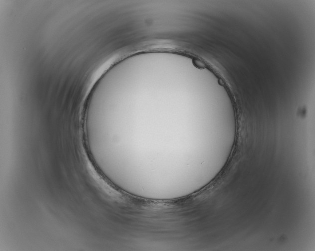 X0000114571475200911161235