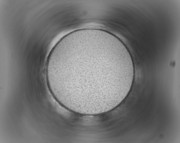 X0000114571478200911161235