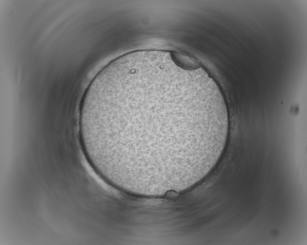 X0000114571479200911161235