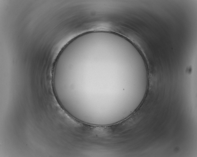 X0000114571480200911161235