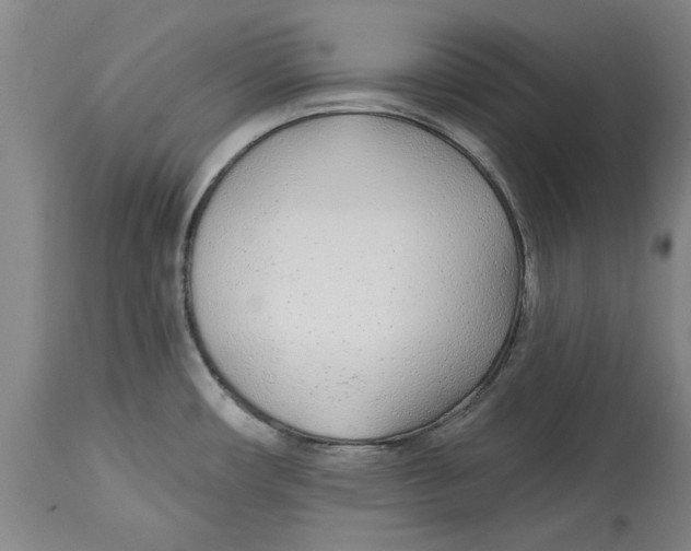 X0000114571482200911161235