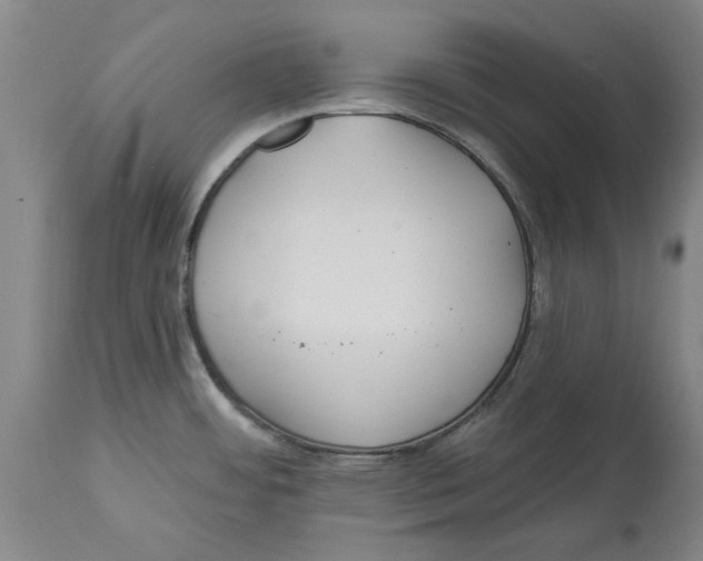 X0000114571484200911161235