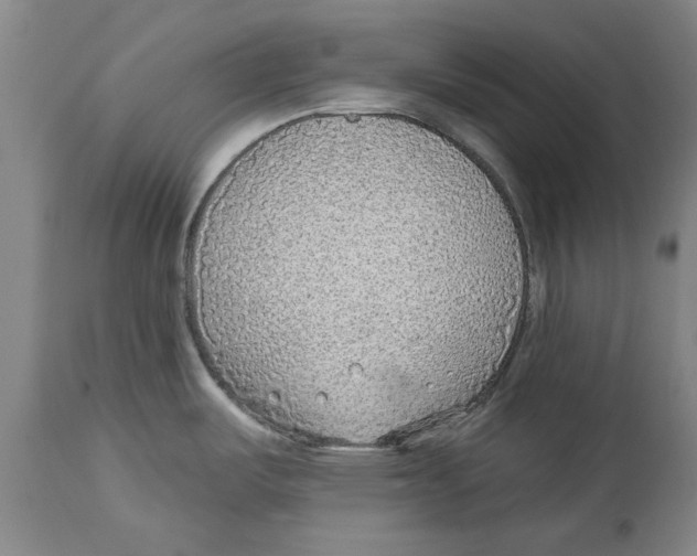 X0000114571487200911161235