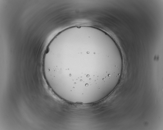 X0000114571488200911161235