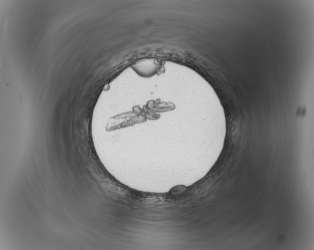 X0000114571489200911161234