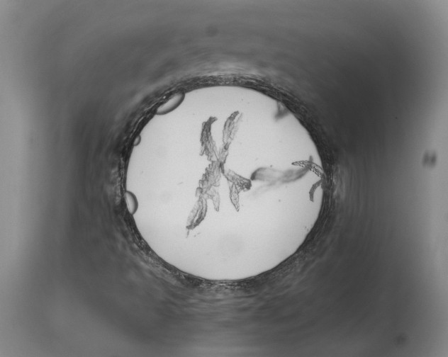 X0000114571493200911161234