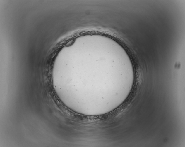 X0000114571494200911161234